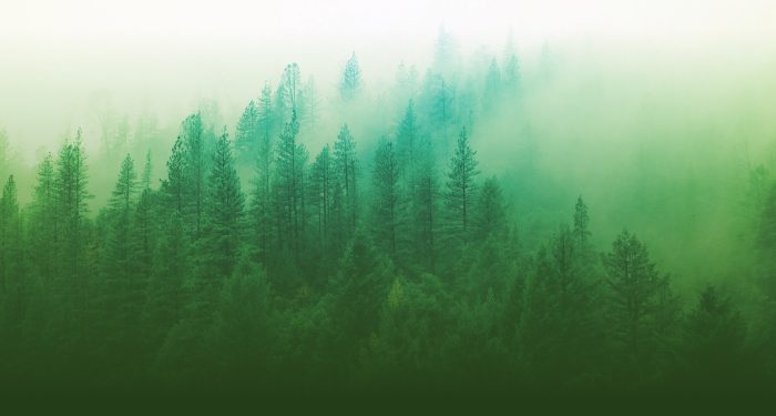 main-header-bg