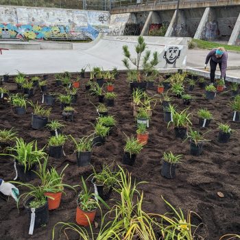 PXL_20231014_141853075